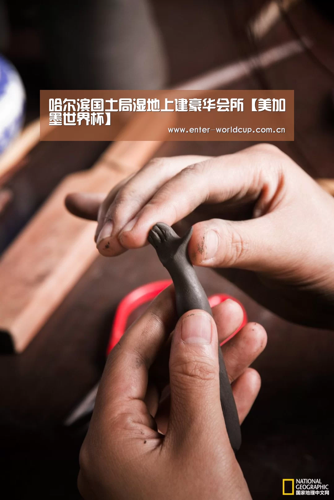 国际足联世界杯