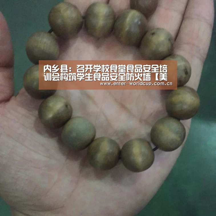 内乡县:召开学校食堂食品安全培训会构筑学生食品安全防火墙【美加墨世界杯】(图4) 赛事新闻