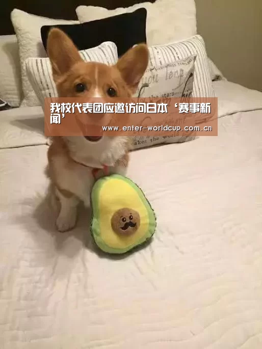 国际足联世界杯